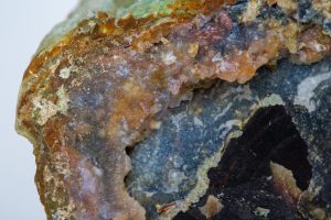 Agatized Petrified Wood